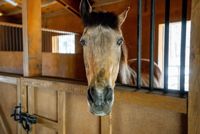 69255 Crooked Horseshoe Road, Sisters, OR 97759