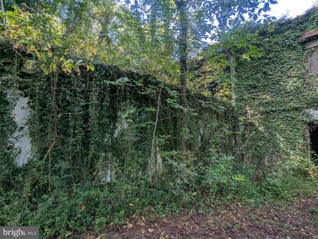 12967 SPICERS MILL RD, Orange, VA 22960