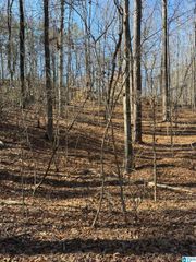 2 OAKMONT DRIVE, Alabaster, AL 35007