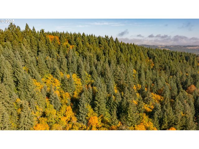 17925 Brown Rd, Dallas, OR 97338