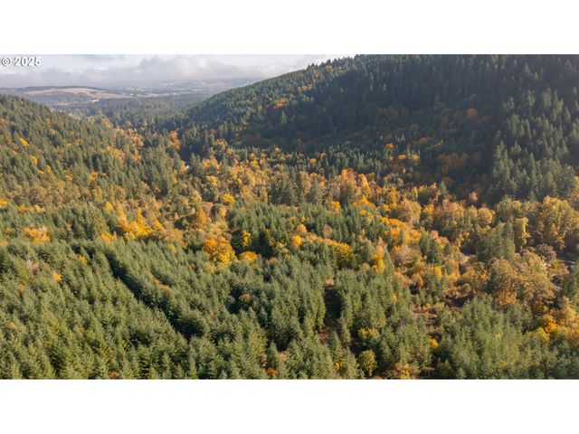 17925 Brown Rd, Dallas, OR 97338