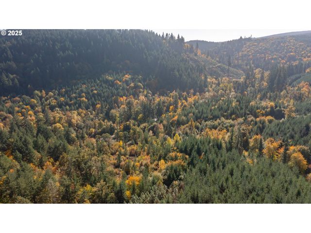 17925 Brown Rd, Dallas, OR 97338