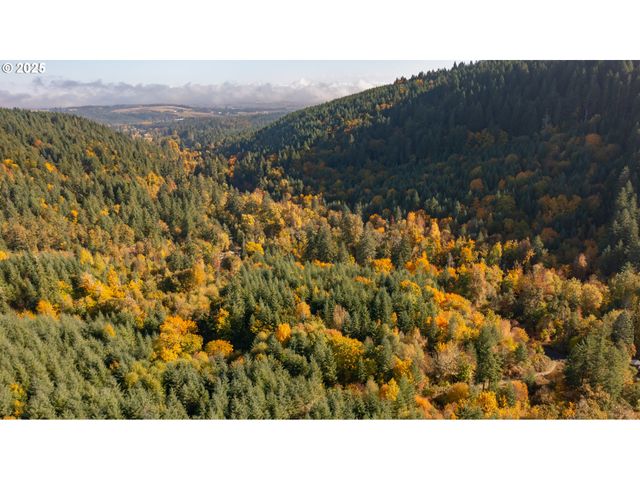 17925 Brown Rd, Dallas, OR 97338