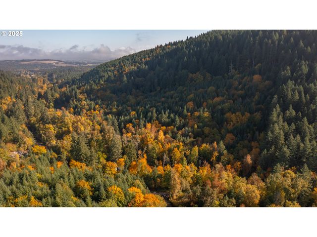 17925 Brown Rd, Dallas, OR 97338