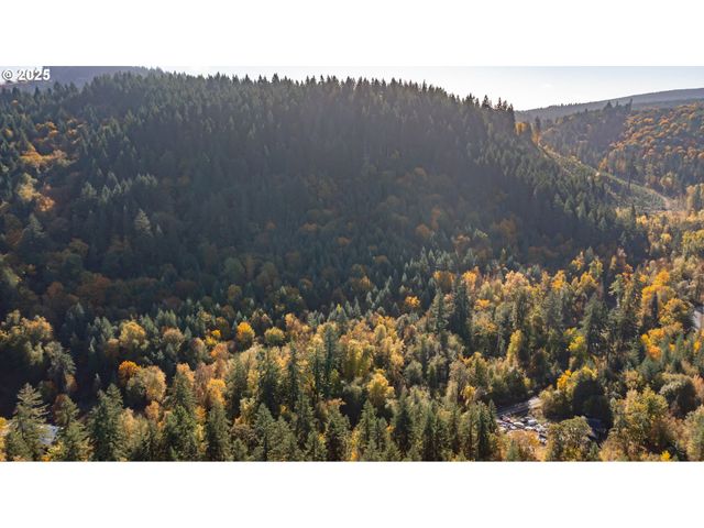 17925 Brown Rd, Dallas, OR 97338