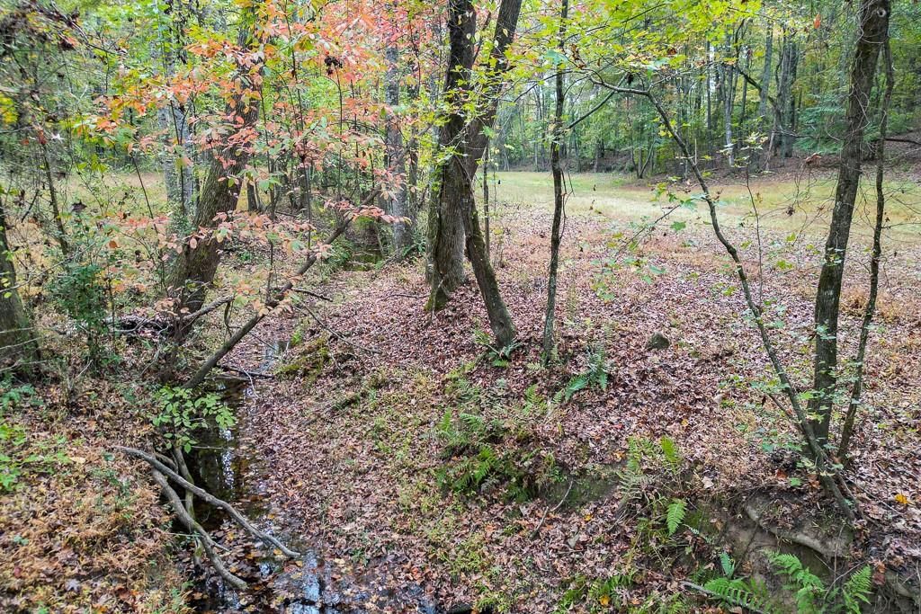 Image 14 of property listing at 0 Sewell Road, Cumming, GA 30028