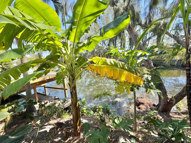 1130 NE 18th Avenue 2, Fort Lauderdale, FL 33304