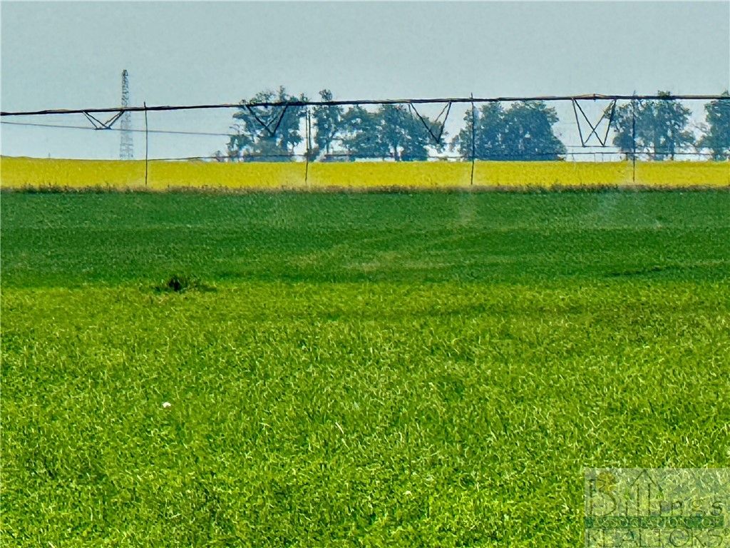 1176 County Line ROAD, Other, MT 59433 photo 18