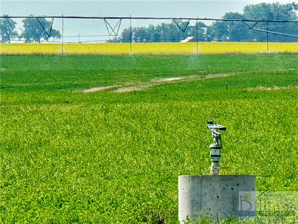 1176 County Line ROAD, Other, MT 59433 photo 19