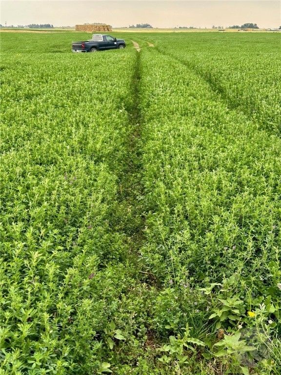 1176 County Line ROAD, Other, MT 59433 photo 28