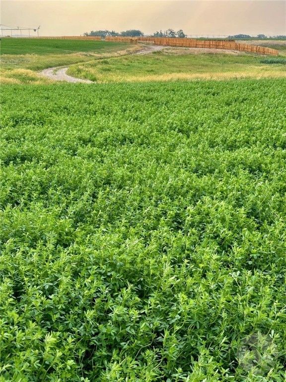 1176 County Line ROAD, Other, MT 59433 photo 29