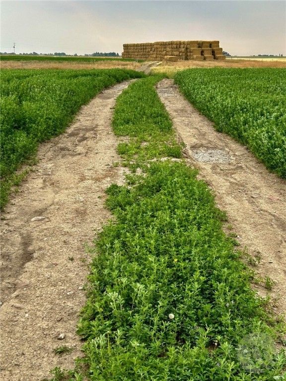 1176 County Line ROAD, Other, MT 59433 photo 30