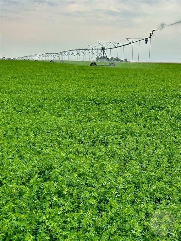 1176 County Line ROAD, Other, MT 59433 photo 32