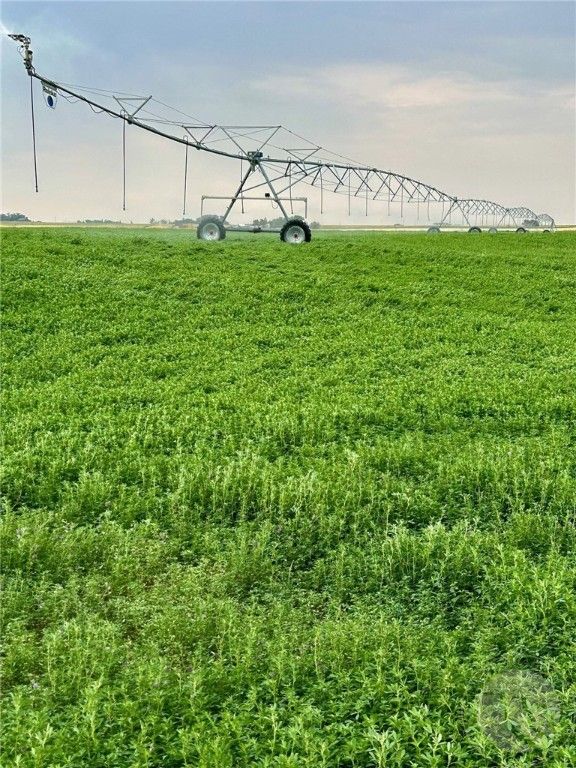 1176 County Line ROAD, Other, MT 59433 photo 6