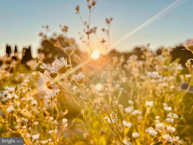 2459 DUNBROOKE RD, Tappahannock, VA 22560