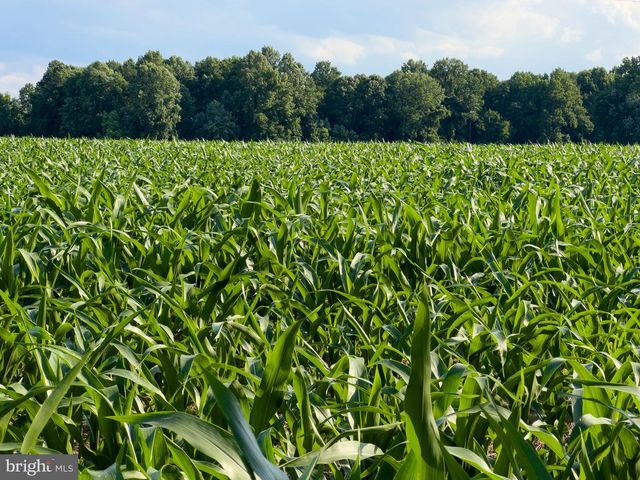 2459 DUNBROOKE RD, Tappahannock, VA 22560