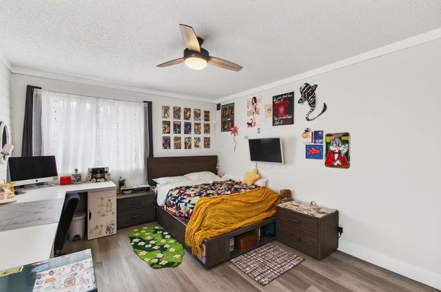 10679 Palm Spring Drive, Boca Raton, FL 33428