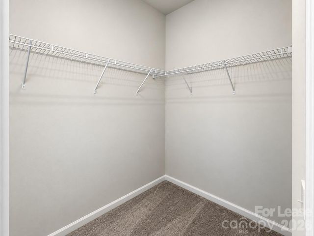 6518 Harlech Street, Charlotte, NC 28269