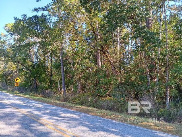 0000 Riverwood Drive, Foley, AL 36535