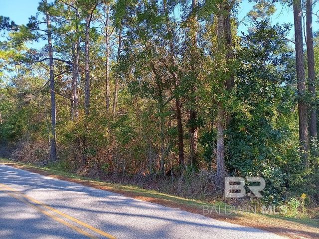 0000 Riverwood Drive, Foley, AL 36535