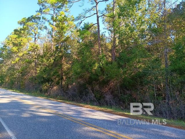0000 Riverwood Drive, Foley, AL 36535