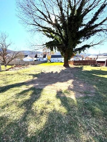 E 221 Parrish ST, Covington, VA 24426