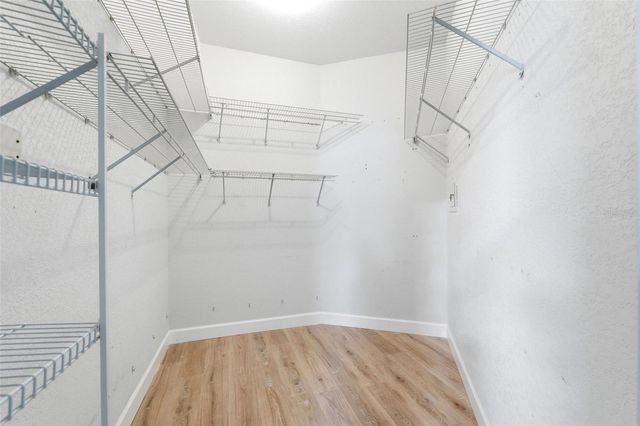 11421 GLENMONT DRIVE, Tampa, FL 33635