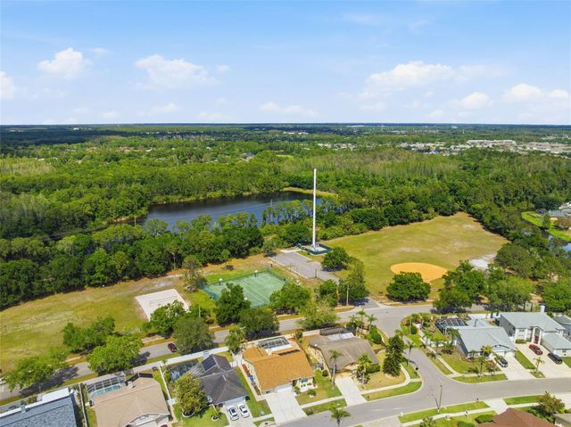 11421 GLENMONT DRIVE, Tampa, FL 33635