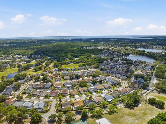 11421 GLENMONT DRIVE, Tampa, FL 33635