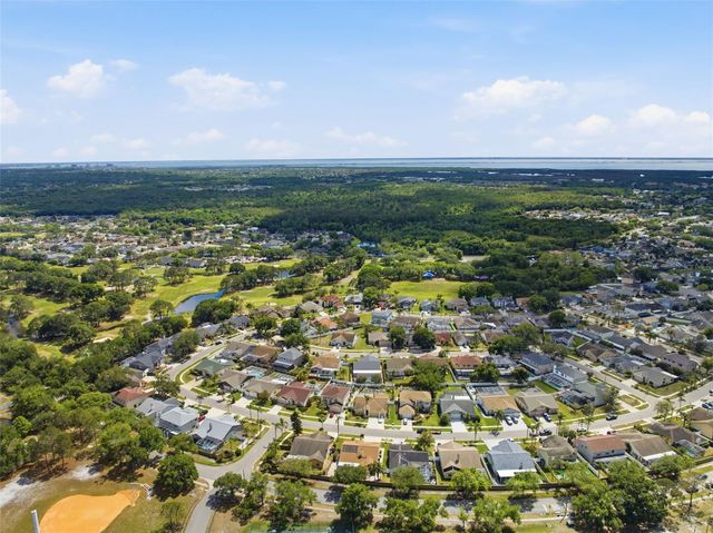 11421 GLENMONT DRIVE, Tampa, FL 33635