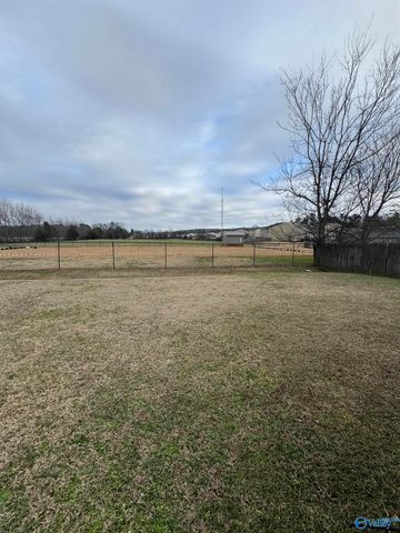 111 Point Given Lane, Harvest, AL 35749