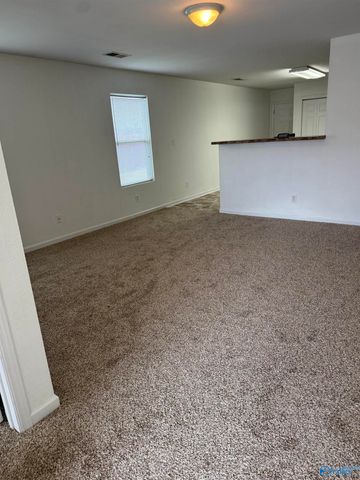 111 Point Given Lane, Harvest, AL 35749