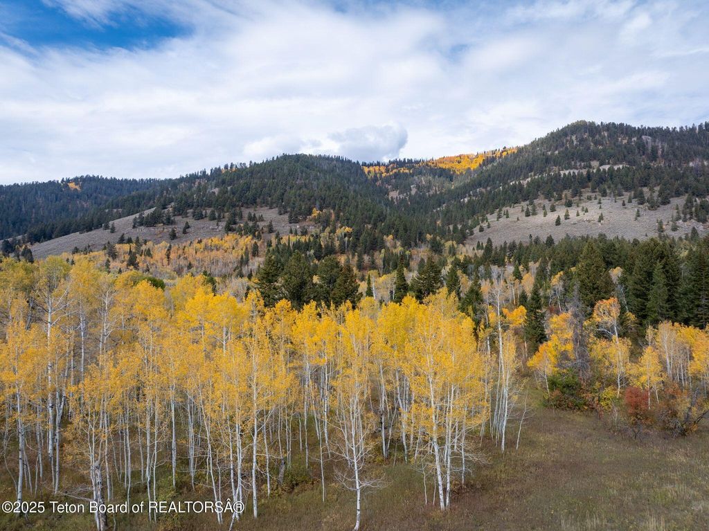 6255 W US HWY 22, Wilson, WY 83014 photo 21