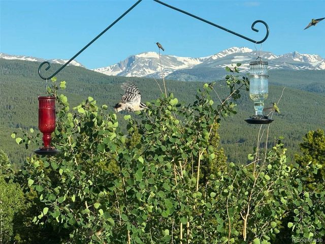480 N County Rd, Rollinsville, CO 80474