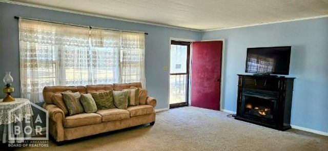 110 Edith Street, Corning, AR 72422