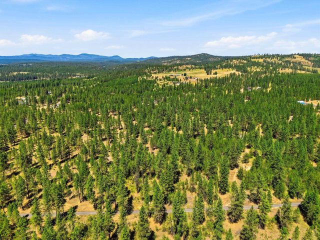 0 E Owens Rd, Chattaroy, WA 99003