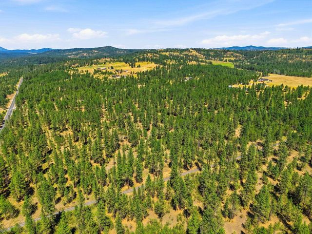 0 E Owens Rd, Chattaroy, WA 99003