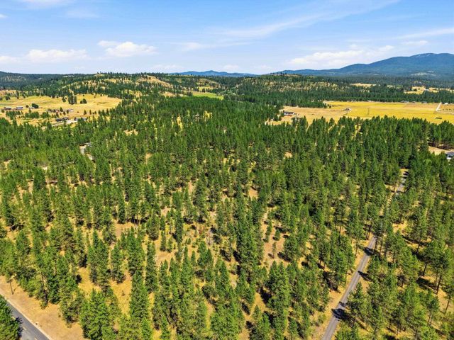 0 E Owens Rd, Chattaroy, WA 99003