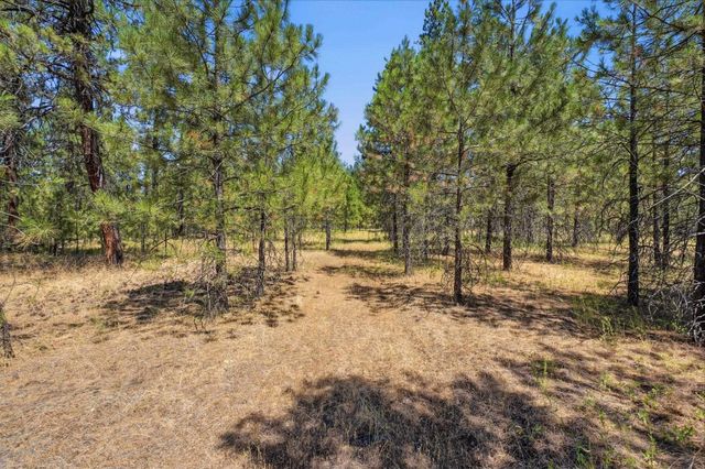 0 E Owens Rd, Chattaroy, WA 99003