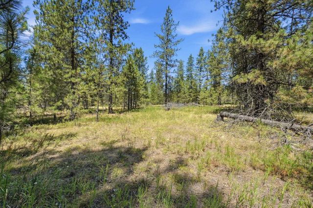 0 E Owens Rd, Chattaroy, WA 99003