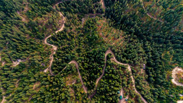 4450 Buck Creek Rd, Loon Lake, WA 99148