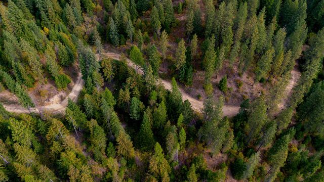 4450 Buck Creek Rd, Loon Lake, WA 99148