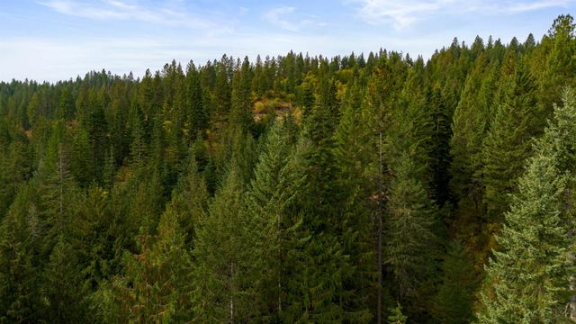 4450 Buck Creek Rd, Loon Lake, WA 99148