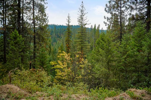 4450 Buck Creek Rd, Loon Lake, WA 99148