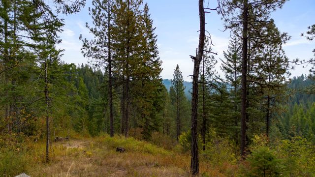 4450 Buck Creek Rd, Loon Lake, WA 99148