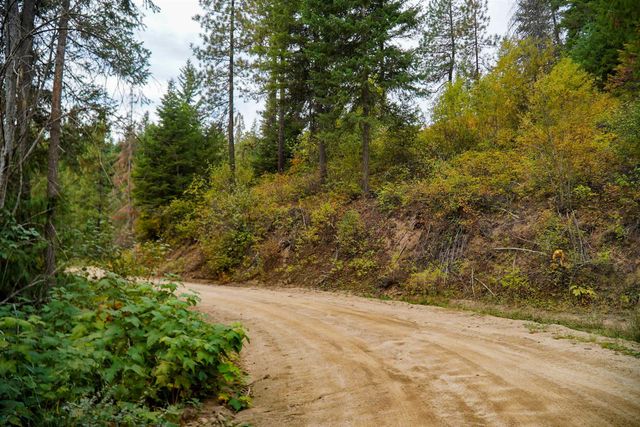 4450 Buck Creek Rd, Loon Lake, WA 99148