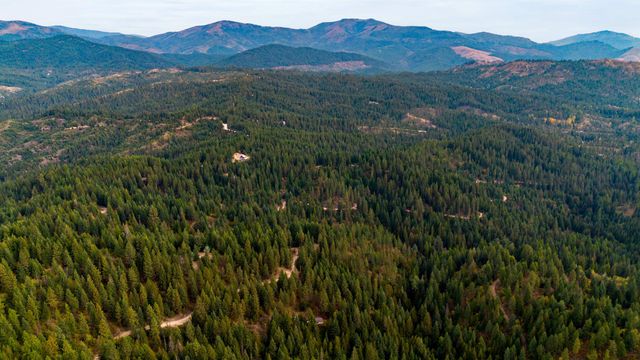 4450 Buck Creek Rd, Loon Lake, WA 99148