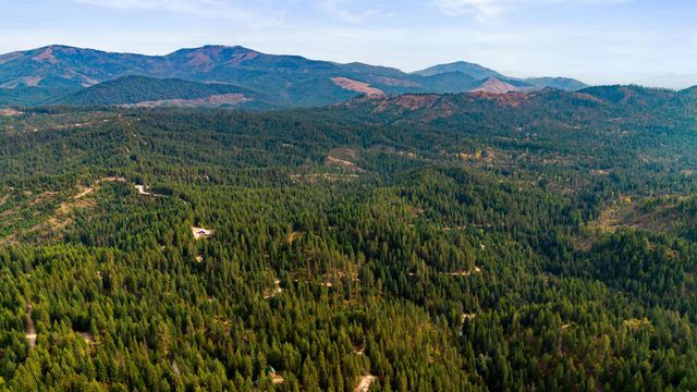 4450 Buck Creek Rd, Loon Lake, WA 99148