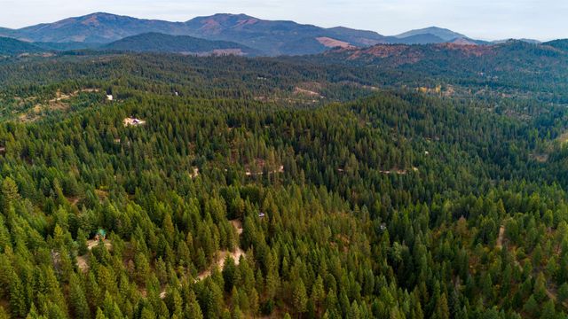 4450 Buck Creek Rd, Loon Lake, WA 99148