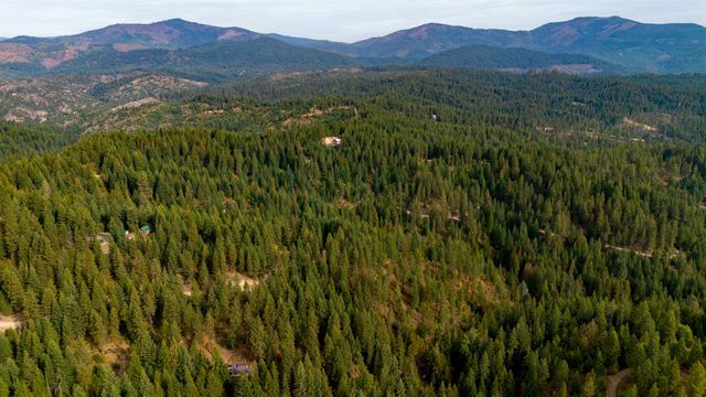 4450 Buck Creek Rd, Loon Lake, WA 99148